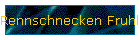 Rennschnecken Fruhling