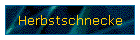 Herbstschnecke