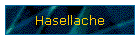 Hasellache