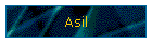 Asil