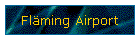 Flming Airport