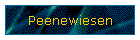 Peenewiesen