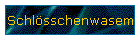 Schlsschenwasem
