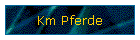 Km Pferde