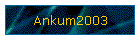 Ankum2003