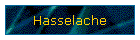 Hasselache