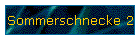Sommerschnecke 2
