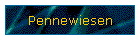 Pennewiesen