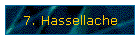 7. Hassellache