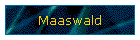 Maaswald