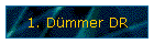 1. Dmmer DR