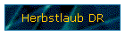 Herbstlaub DR