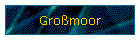 Gromoor